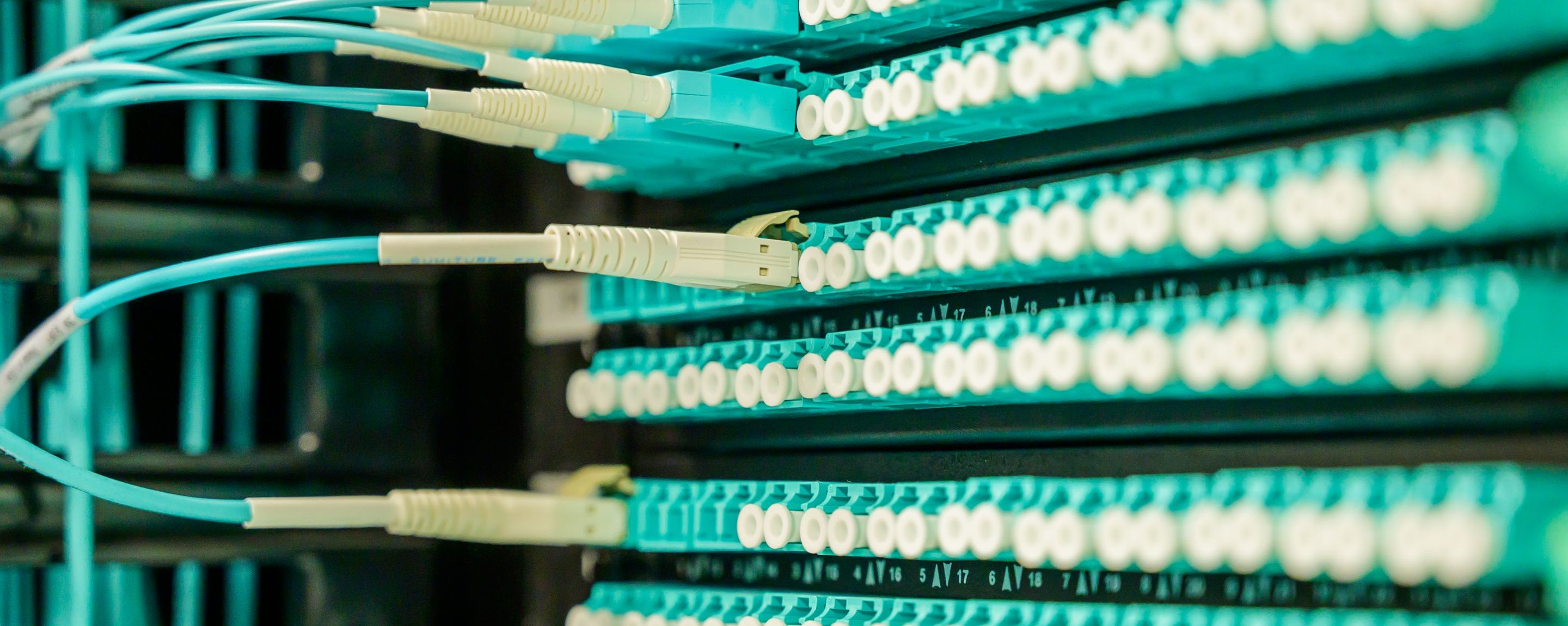 A high-density fibre patch field with rows of LC couplers and teal patch cords