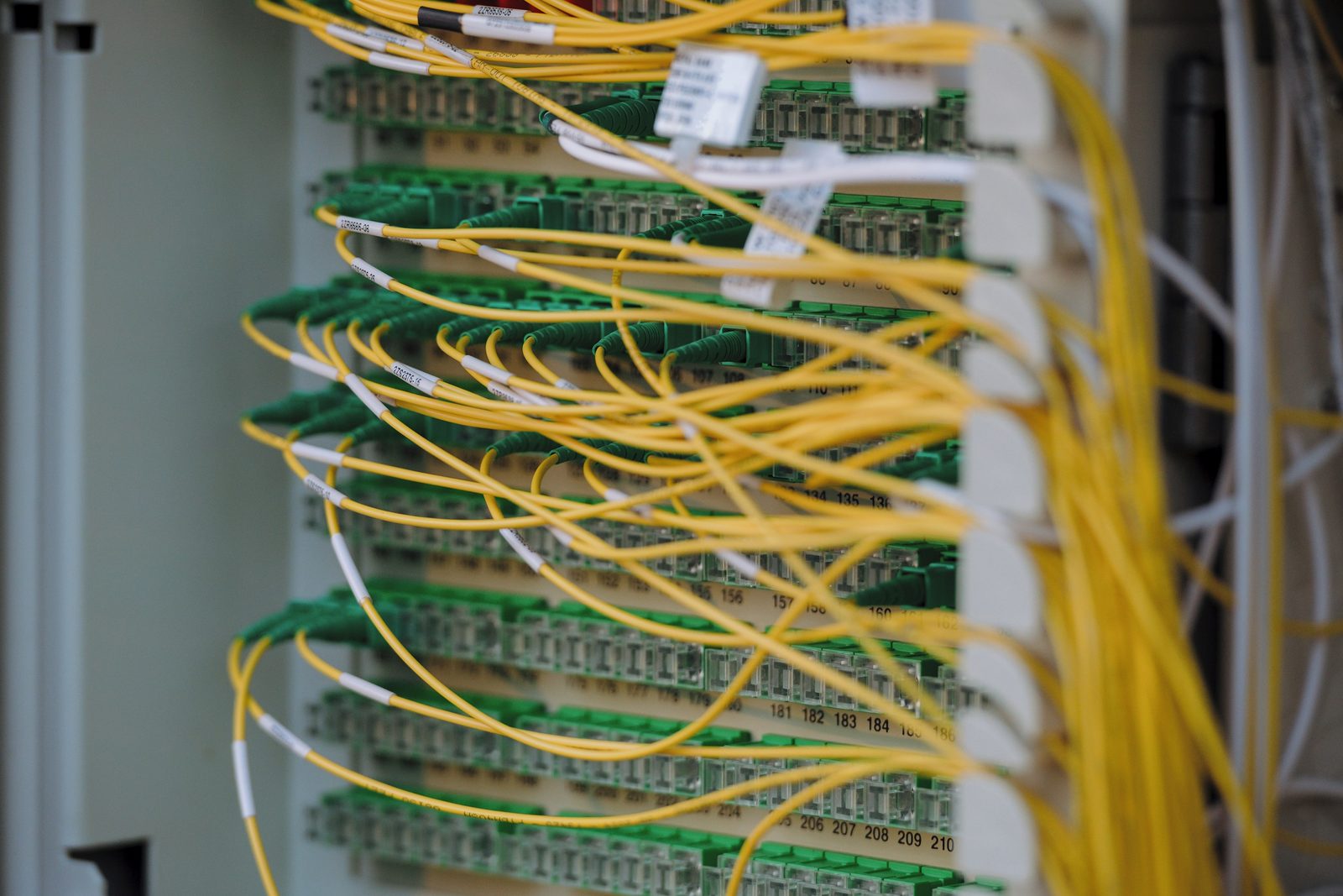 Yellow single-mode fibre patched across labelled green distribution panels in a cabinet