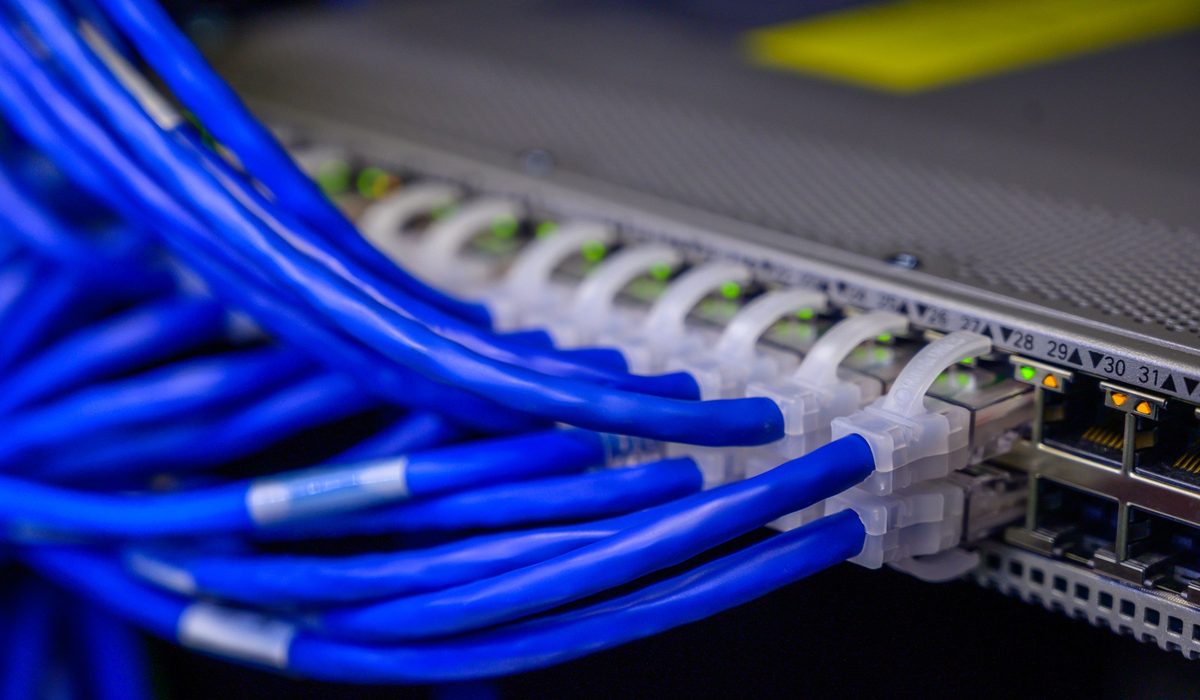 Blue patch leads terminated into numbered switch ports