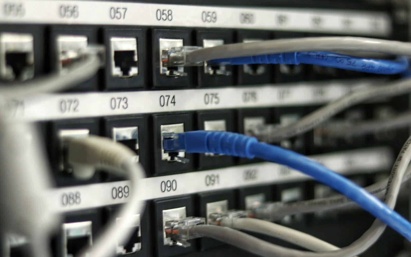A numbered patch panel with grey and blue patch leads seated across its ports