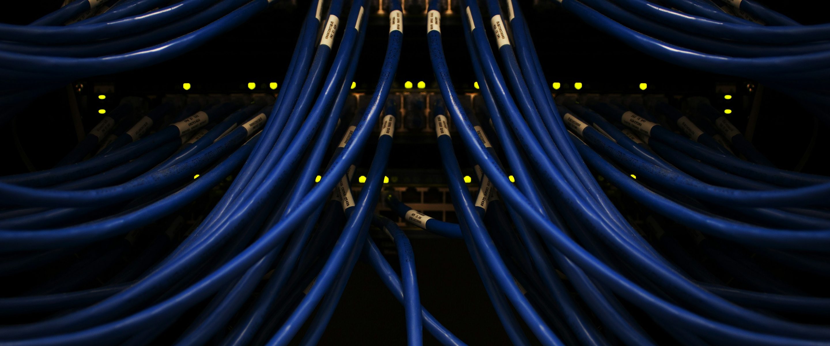 Blue trunk cables fanning out from a lit switch chassis in a darkened room