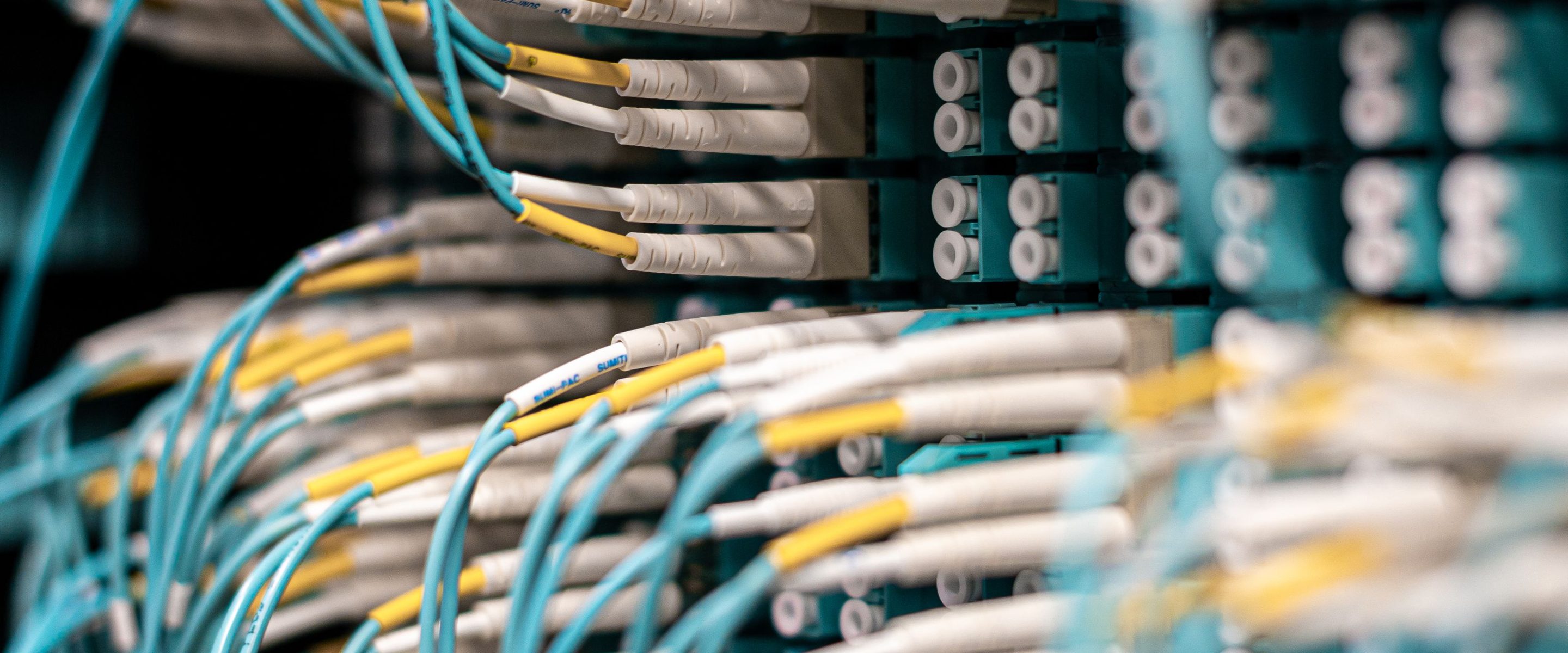 Patch cabling terminated across a bank of switch ports